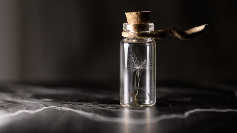 Czy genetyka może zwiększyć nierówności społeczne?