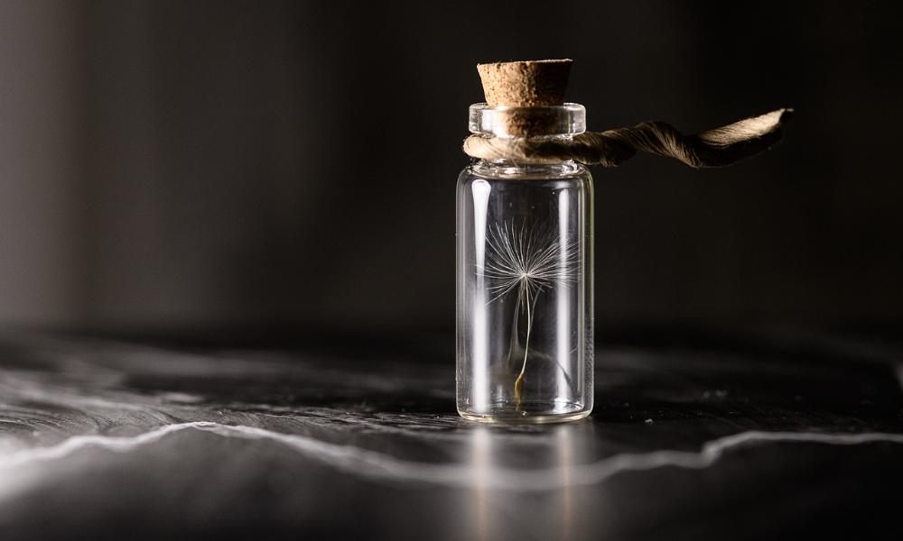 Czy genetyka może zwiększyć nierówności społeczne?