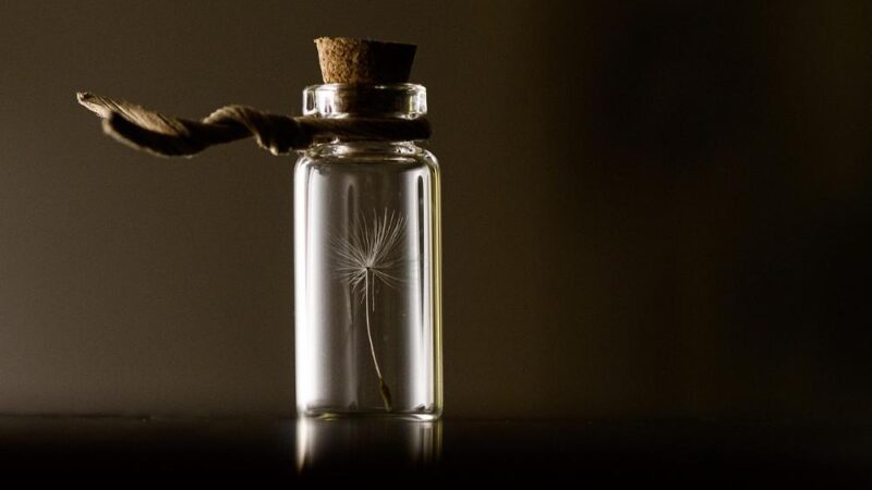 Czy modyfikacja genów jest etyczna? – Dylematy i wyzwania w obliczu nowoczesnej nauki