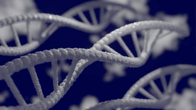 Debata publiczna o inżynierii genetycznej – wyzwania, korzyści i kontrowersje