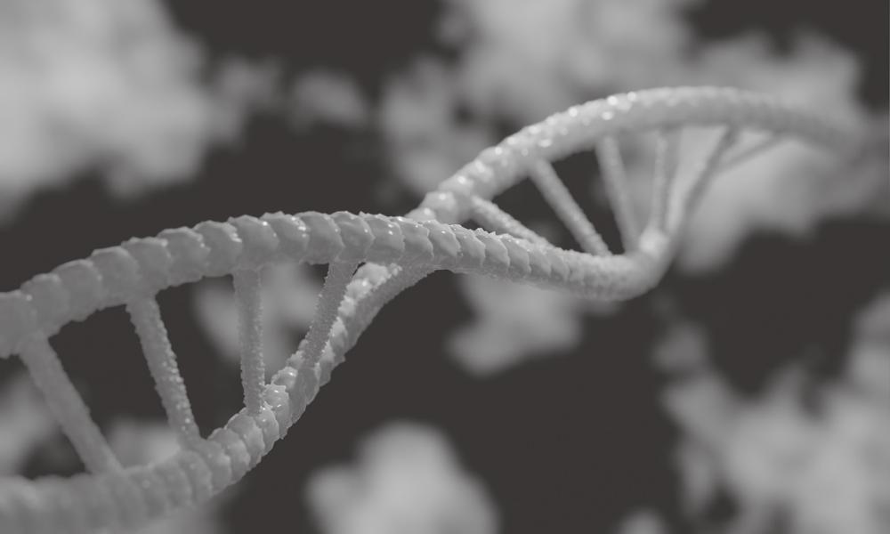 Dylematy moralne związane z GMO – Przyszłość naszej żywności w rękach genetyki