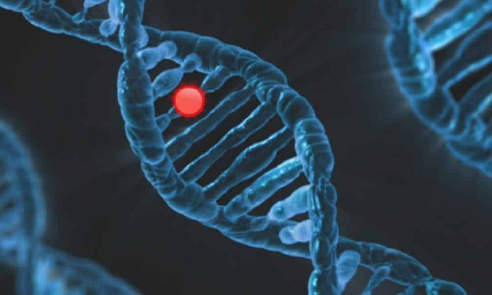 Genetyka a ochrona prywatności danych: Jak technologia zmienia nasze życie i wprowadza wyzwania dla prywatności