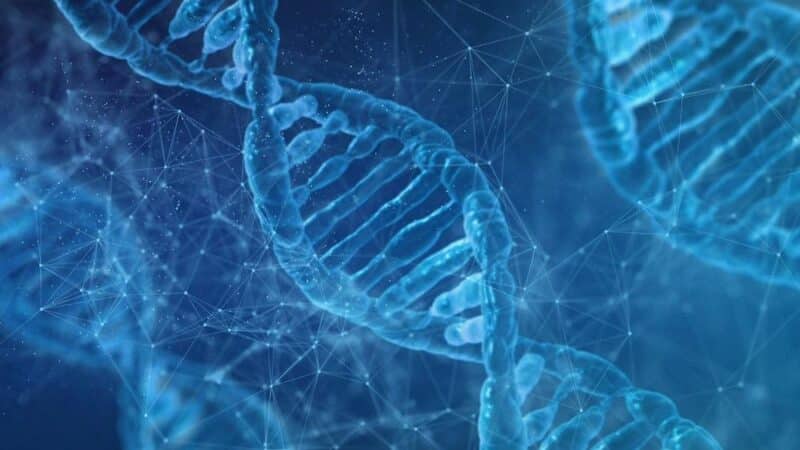 Inżynieria genetyczna w leczeniu chorób rzadkich – Przełom w medycynie przyszłości