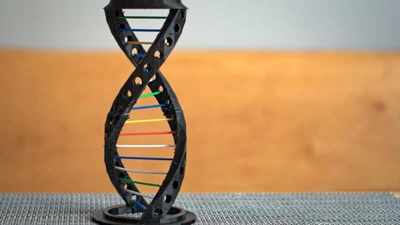 Rozwój nauki a granice etyki